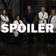 Grey's Anatomy saison 13 : bientôt un nouveau bébé ?