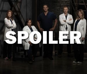 Grey's Anatomy saison 13 : bientôt un nouveau bébé ?