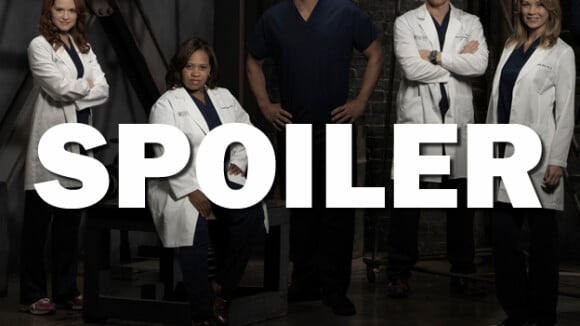 Grey's Anatomy saison 13 : un nouveau bébé en approche ? La théorie étonnante