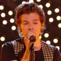 Harry Styles dans Quotidien : les fans prêtes à tout pour le rencontrer, Yann Barthès cède