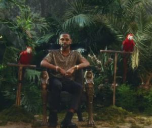 Clip "Feels" : Calvin Harris, Katy Perry, Pharell Williams et Big Sean réunis dans un décor tropical