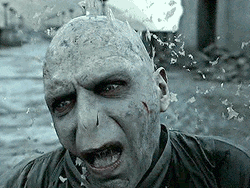 Harry Potter : la mort de Voldemort