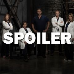 Grey's Anatomy saison 14 : découvrez la nouvelle médecin