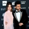 Selena Gomez : The Weeknd présent pour sa greffe de rein