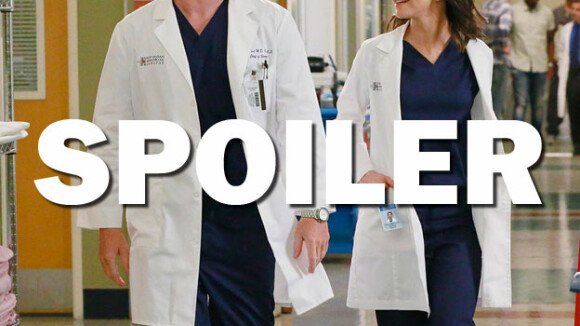 Grey's Anatomy saison 14 : Owen et Amelia bientôt séparés ? Caterina Scorsone donne son avis