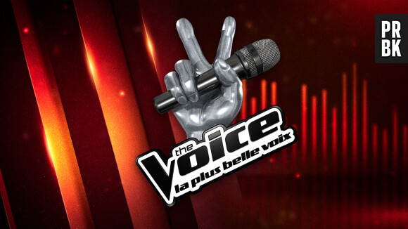 The Voice 7 : auditions à l'aveugle, arrivée de Pascal Obispo... on a vu le 1er épisode