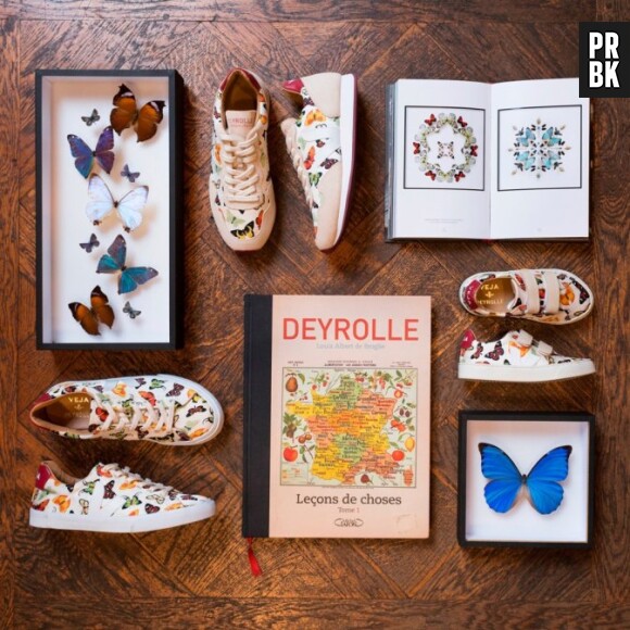 VEJA x Deyrolle : la collab de sneakers qui met en lumière les papillons !