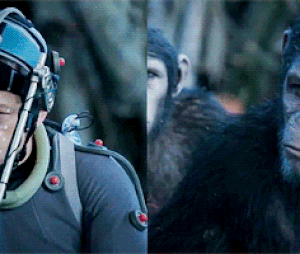 La Planète des singes l'affrontement : le film tourné en motion capture