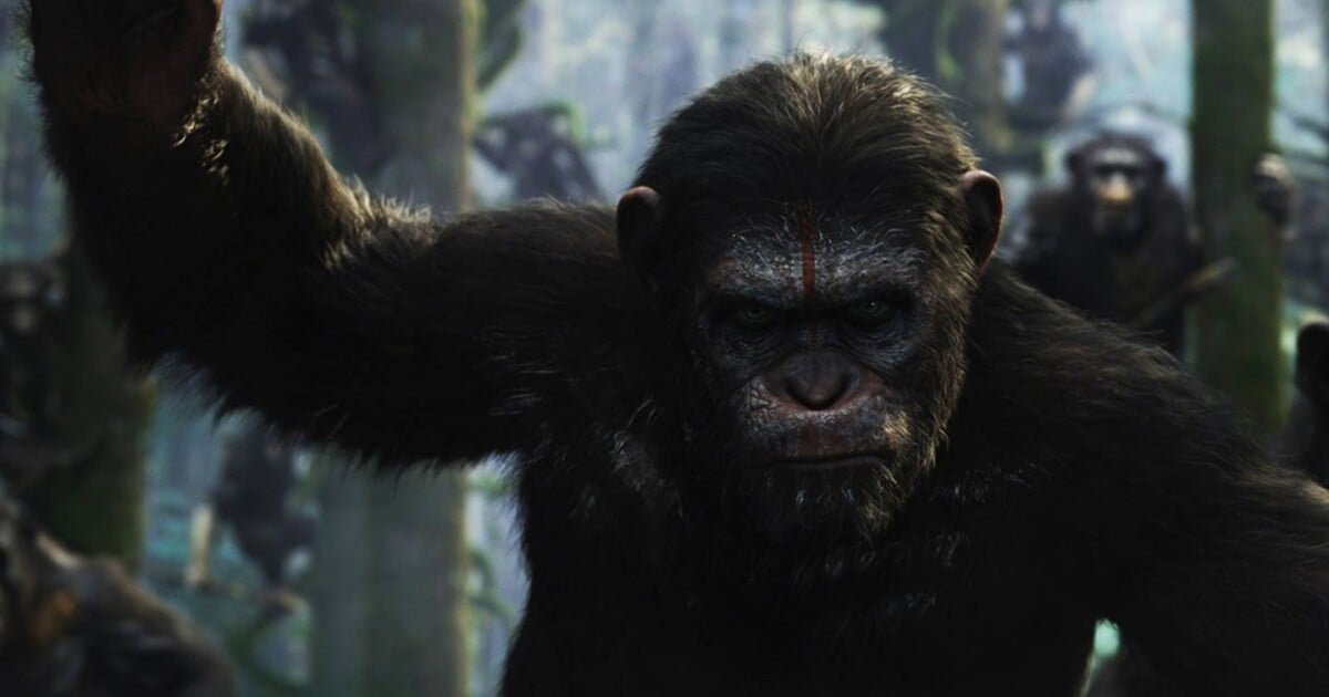 La Planète des singes l