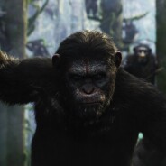 La Planète des singes l&#039;affrontement : quels acteurs se cachent derrière César, Koba et les autres ?