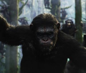 La Planète des singes l'affrontement : quels acteurs se cachent derrière César, Koba et les autres ?