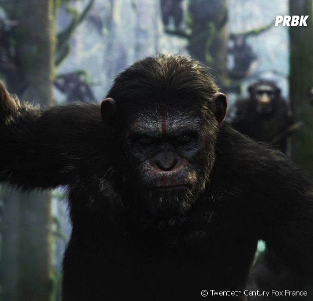 La Planète des singes l'affrontement : quels acteurs se cachent derrière César, Koba et les autres ?