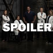 Grey&#039;s Anatomy saison 14 : deux stars quittent la série