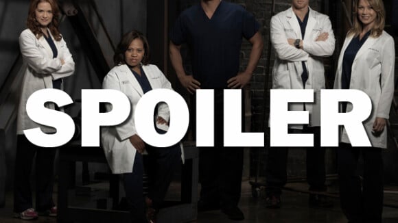 Grey's Anatomy saison 14 : deux stars quittent la série