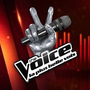 The Voice : une candidate virée par la psy de l&#039;émission pour &quot;raisons médicales&quot;