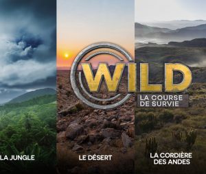 Stéphane Rotenberg blessé pendant WILD : "Je me suis fait piquer par une fourmi balle de fusil"