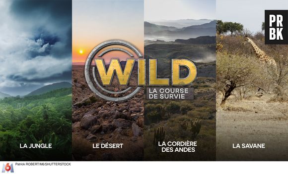 Stéphane Rotenberg blessé pendant WILD : "Je me suis fait piquer par une fourmi balle de fusil"