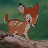 Un braconnier condamné par un juge à regarder Bambi... tous les mois