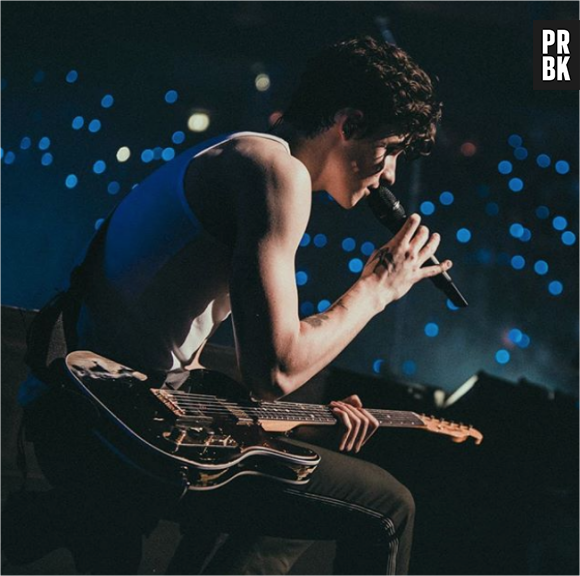 Shawn Mendes : on était à son concert à l'AccorHotels Arena de Paris