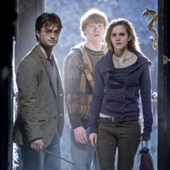 Harry Potter : une vraie boutique dédiée aux fans du sorcier à lunettes ouvre à Rennes