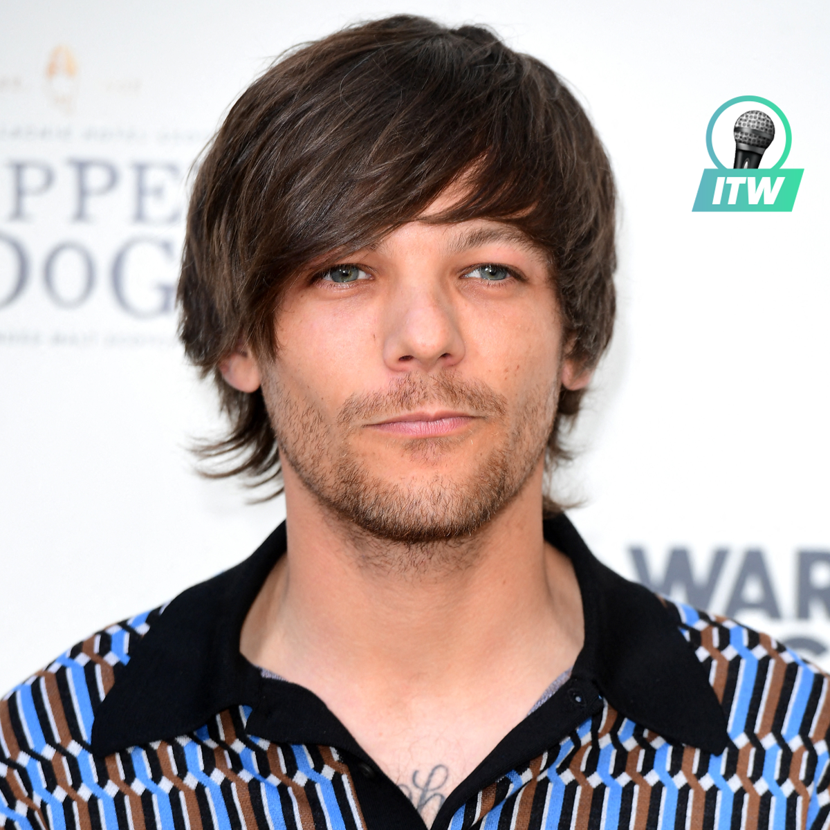 Photo : One Direction bientôt de retour ? Louis Tomlinson répond en ...