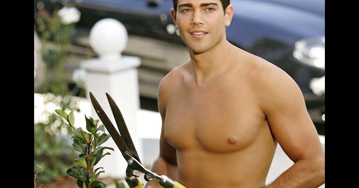 John Rowl Jesse Metcalfe : que devient l'interprète de John dans Desperate ...