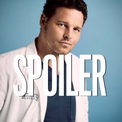Grey's Anatomy saison 16 : les raisons du départ d'Alex dévoilées dans l'épisode 16
