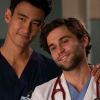 Grey's Anatomy saison 16 : rupture pour le couple Levi et Nico