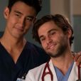 Grey's Anatomy saison 16 : rupture pour le couple Levi et Nico