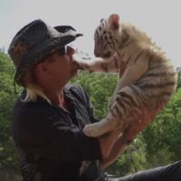 Tiger King : 5 choses à savoir sur le docu wild qui fait tant réagir