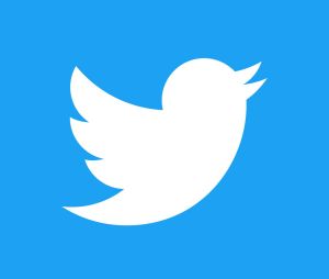 Twitter : des stories en approche ?