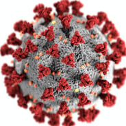 Coronavirus : ce spray nasal français pourrait nous protéger efficacement en attendant un vaccin