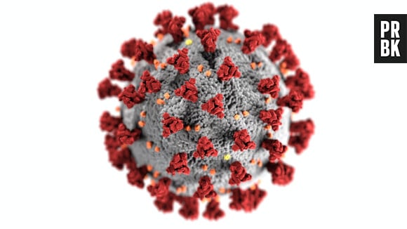 Coronavirus : un spray français pour contrer le virus en attendant un vaccin ?