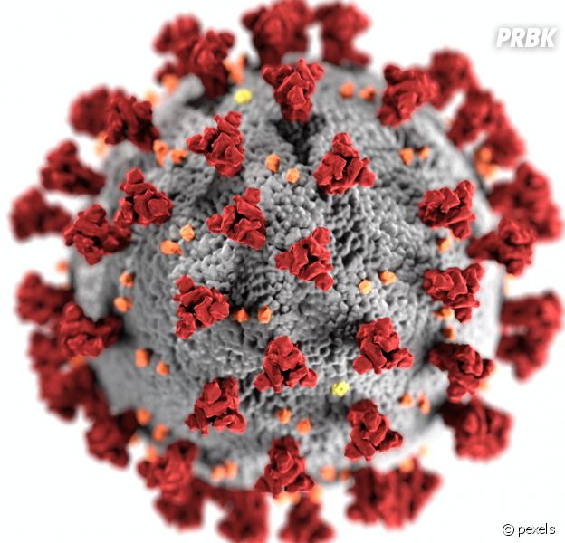 Coronavirus : un spray français pour contrer le virus en attendant un vaccin ?