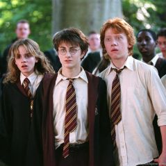 Harry Potter : Daniel Radcliffe dévoile quel film est son préféré (et ça va faire débat)
