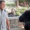 Zookeeper avec Kevin James ... la bande annonce VF