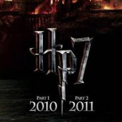 Harry Potter et les reliques de la mort partie 2 (HP 7) ... le film ne suit pas le livre