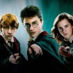 Harry Potter : des séries à venir ? Warner Bros veut rencontrer J.K. Rowling