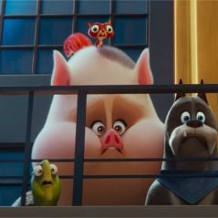 Krypto et les Super-Animaux : qui double ce film d'animation à ne pas manquer ?