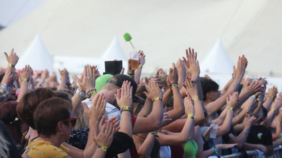 "Les riches et les influenceurs devant et les bouseux au fond" : le carré VIP de Rock en Seine dégoûte les festivaliers