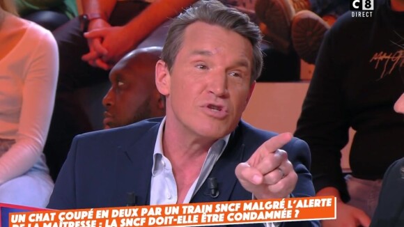 "Dis ce que tu as dit en loge !" : cette phrase balancée en off dans TPMP scandalise tout le plateau après la mort d'un chat écrasé par la SNCF