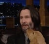 Keanu Reeves sur le plateau de l'émission "The Tonight Show Starring Jimmy Fallon" à New York, le 17 mars 2023. © JLPPA/NBC/Bestimage  Movie star Keanu Reeves got some puppy love by winning a TV quiz which left him cuddling a litter of golden retrievers. The 58-year-old took on US talk show host Jimmy Fallon in a game called Pup Quiz. Every question answered correctly earned a cuddly little dog. Mutts were also awarded if the opponent got a question wrong. After three rounds, triumphant Reeves, on the show to plug the latest John Wick movie, Chapter 4. The whole box office franchise began with the professional assassin Wick going after some gangsters who kill his pup. Keanu ended the quick sitting in an armchair with half a dozen pups snuggling up and licking his face in am incredible vision of cuteness. The quizmaster was Fallons long time assistant Steve Higgins. He announced: Whoever has the most puppies at the end of the game is the Pup Quiz champion. 