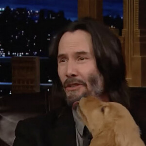 Keanu Reeves sur le plateau de l'émission "The Tonight Show Starring Jimmy Fallon" à New York, le 17 mars 2023. © JLPPA/NBC/Bestimage  Movie star Keanu Reeves got some puppy love by winning a TV quiz which left him cuddling a litter of golden retrievers. The 58-year-old took on US talk show host Jimmy Fallon in a game called Pup Quiz. Every question answered correctly earned a cuddly little dog. Mutts were also awarded if the opponent got a question wrong. After three rounds, triumphant Reeves, on the show to plug the latest John Wick movie, Chapter 4. The whole box office franchise began with the professional assassin Wick going after some gangsters who kill his pup. Keanu ended the quick sitting in an armchair with half a dozen pups snuggling up and licking his face in am incredible vision of cuteness. The quizmaster was Fallons long time assistant Steve Higgins. He announced: Whoever has the most puppies at the end of the game is the Pup Quiz champion. 