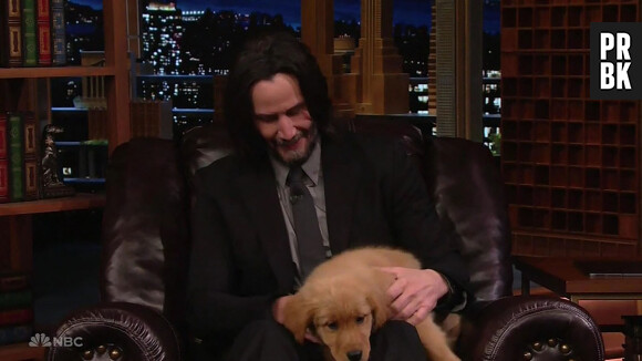 Keanu Reeves câline des chiots sur le plateau de l'émission de Jimmy Fallon à Los Angeles  BGUK_2595144 - Los Angeles, CA - Keanu Reeves declares himself the Puppy King as he faces off against Jimmy Fallon in a game of Pup Quiz on The Tonight Show. The actor was on the late night US chat show to promote his new movie John Wick 4. After chatting to host Fallon about the highly anticipated action movie, Keanu agreed to Fallon’s challenge to play Pup Quiz, a trivia game where the winner of each round gets a puppy to snuggle. Keanu kicked the game off, and got his first question – what is the only species of reptile native to Ireland – correct with the answer: lizard. The action star was then handed an adorable Labrador puppy. Fallon then got his question wrong – which meant Keanu got another puppy. After getting his next question right too, Keanu was soon holding three puppies who climbed all over him. Then it was Double Puppardy time – when Keanu knew that a dik-dik was an antelope, he was given two puppies. As they climbed all over him and licked his face, he shouted out: “Who’s the puppy king?” as the audience cheered and clapped. A puppyless Fallon managed to get his hands on one puppy when one of them jumped off Keanu’s lap and trotted over to Fallon’s chair. For the final round, both Keanu and Fallon had to guess how many Labrador dogs were used in the filming of the movie Air Bud – with Keanu correctly guessing 6. That meant more puppies on his lap and the title of Puppy King! 