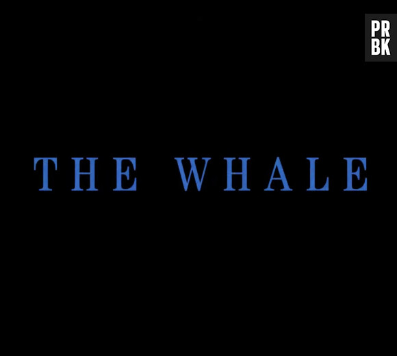 Les images de la bande-annonce du film "The Whale" avec Brendan Fraser .  A24 drops first look at awards season hot contender The Whale starring Brendan Fraser. The first trailer for Darren Aronofsky’s The Whale has dropped ahead of its December 9, 2022, release in the US. The short one minute teaser shows the former Hollywood hunk looking unrecognisable in his lead role of Charlie, a 600-pound gay man confined to a wheelchair The heart-warming tale stars Brendan Fraser as a reclusive English teacher living with severe obesity who attempts to reconnect with his estranged teenage daughter, played by Stranger Thindgs star Sink. The trailer opens with scenes of Charlie's apartment where he is confined, before he is shown staring at a bird outside his window with tears in his eyes. “Do you ever get the feeling people are incapable of not caring?” Charlie says in a voiceover as the trailer flashes between scenes of Charlie in his apartment and his daughter's childhood. Sink also appears in the trailer as Charlie's daughter Ellie, who is struggling to reconnect with her estranged father. Hong Chau, who plays Charlie's friend and caregiver is shown crying in the teaser as Charlie tells her: “People are amazing.” The Whale has been riding a wave ever since its world premiere in Venice to an extended ovation, from where it went on to equally enthusiastic welcomes in Toronto and London. Fraser is seen as a front-runner in the Best Actor category at the Academy Awards. In the meantime, he kicked off awards season in Toronto as the recipient of the TIFF Tribute Award for Performance and is also set to receive the Santa Barbara Film Festival’s American Riviera Award in February 2023. The Whale is based on the acclaimed play by Samuel D. Hunter and also stars Ty Simpkins and Samantha Morton. 