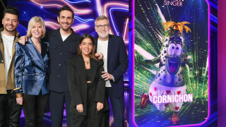 Mask Singer 2024 : qui est le Cornichon ? Les internautes pensent l'avoir démasqué avant même sa première apparition