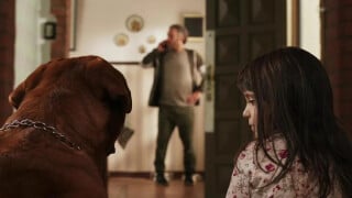 Je suis allé découvrir en salles LE film d'horreur événement du moment (et je ne verrai plus jamais les chiens de la même façon)