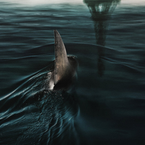 Sous la Seine : le film de Netflix a-t-il filmé de vrais requins ? On a posé la question à Bérénice Béjo