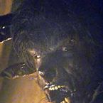 Wolfman 2 ... Directement en DVD