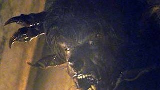 Wolfman 2 ... Directement en DVD